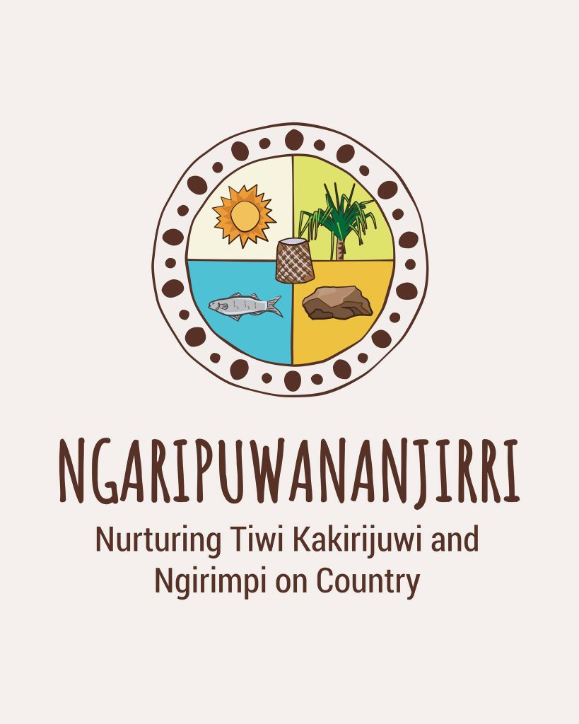 Logo Design_The Exhibitionist