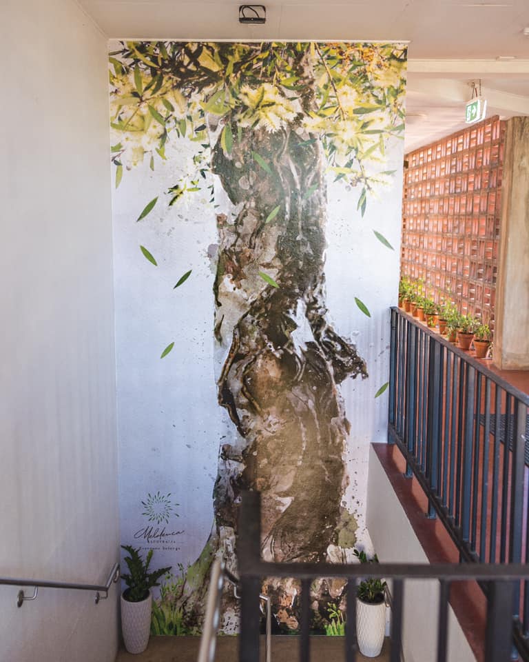 Wall Graphics The Exhibitionist 6