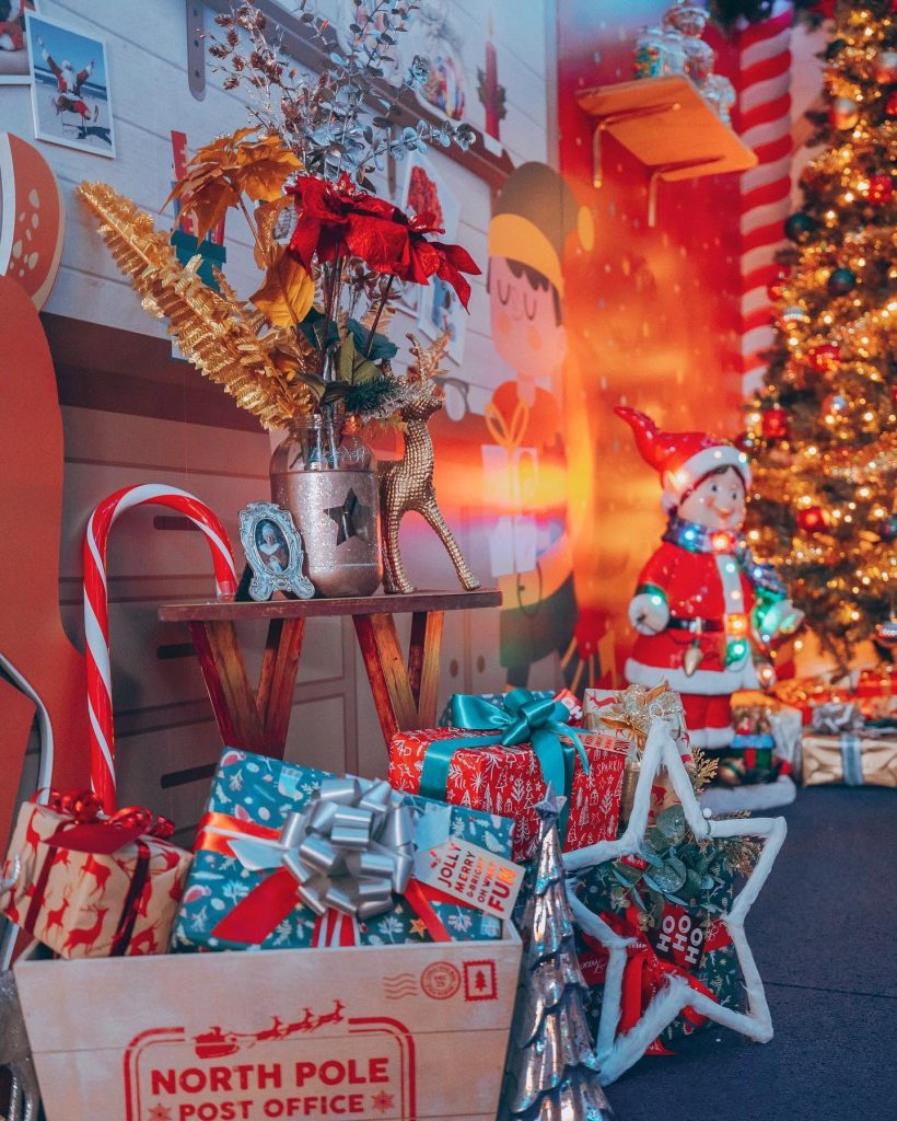 Casuarina Christmas The Exhibitionist