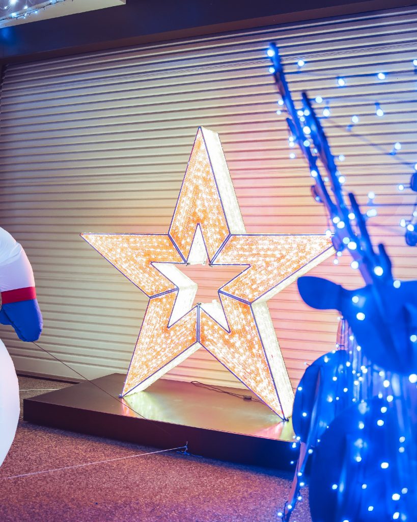 Cullen Bay Christmas House_The Exhibitionist