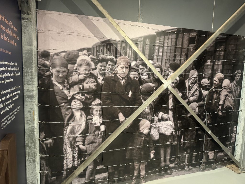 Darwin Holocaust Memorial The Exhibitionist 2